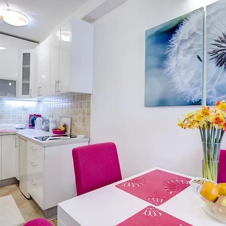 Apartment Biljana Belgrad Dış mekan fotoğraf